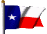texas_flag.gif